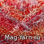 Кликните для увеличения изображения